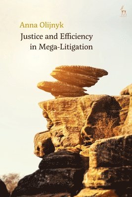 bokomslag Justice and Efficiency in Mega-Litigation