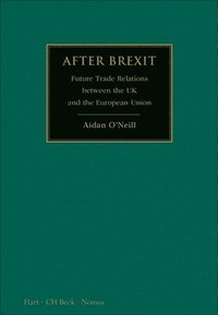 bokomslag After Brexit: Future Trade Relations Between the UK and the European Union