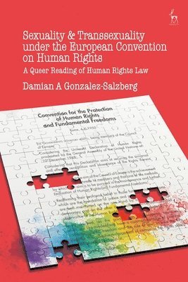 Damian A Gonzalez Salzberg, Damian A. Gonzalez Salzberg - Sexuality and Transsexuality Under the European Convention on Human Rights, Inbunden