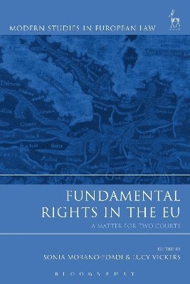 bokomslag Fundamental Rights in the EU