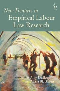 bokomslag New Frontiers in Empirical Labour Law Research