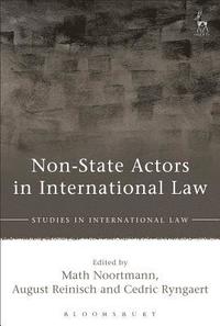 bokomslag Non-State Actors in International Law