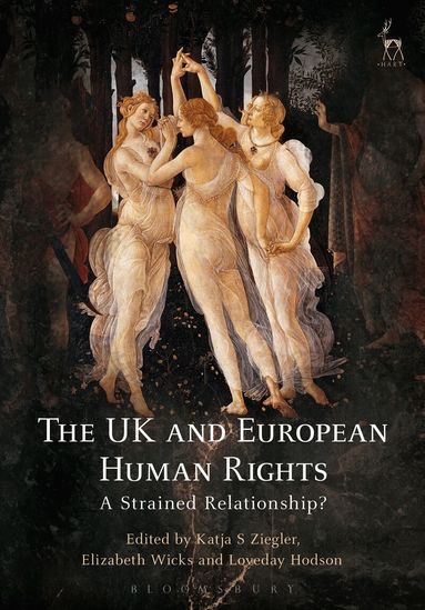 Katja S Ziegler, Elizabeth Wicks, Loveday Hodson - UK and European Human Rights, Häftad