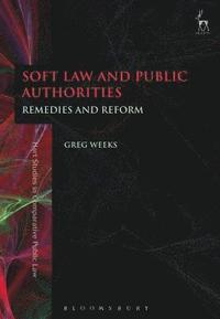 bokomslag Soft Law and Public Authorities