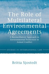bokomslag The Role of Multilateral Environmental Agreements