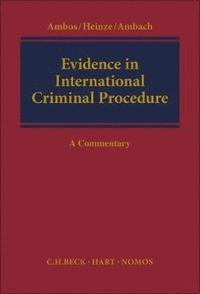 bokomslag Evidence in International Criminal Procedure