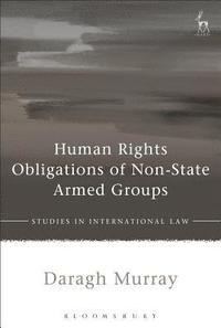 bokomslag Human Rights Obligations of Non-State Armed Groups