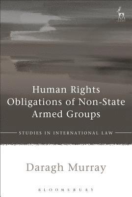 bokomslag Human Rights Obligations of Non-State Armed Groups