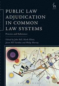 bokomslag Public Law Adjudication in Common Law Systems
