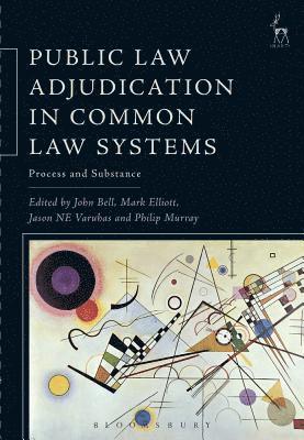Public Law Adjudication in Common Law Systems 1