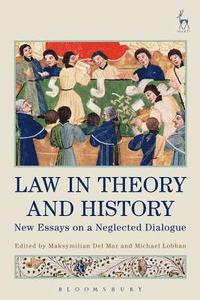bokomslag Law in Theory and History