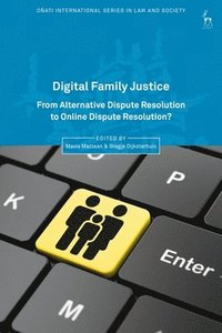 bokomslag Digital Family Justice