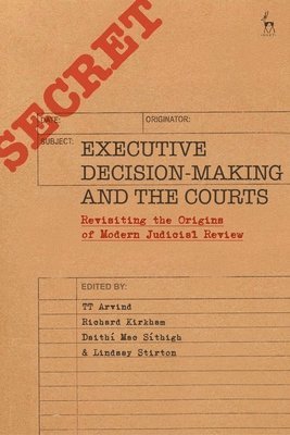 bokomslag Executive Decision-Making and the Courts