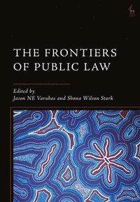 bokomslag The Frontiers of Public Law