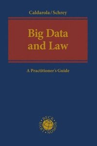 bokomslag Big Data and Law