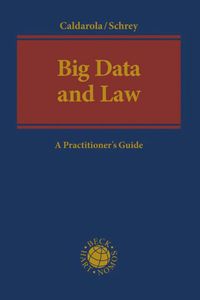 bokomslag Big Data and Law