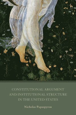 Constitutional Argument and Institutional Structure in the United States 1