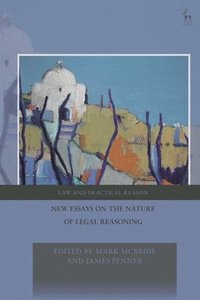 bokomslag New Essays on the Nature of Legal Reasoning
