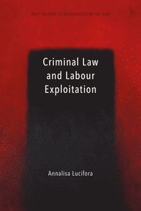 bokomslag Criminal Law and Labour Exploitation