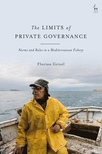 bokomslag The Limits of Private Governance