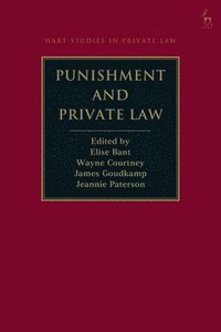 bokomslag Punishment and Private Law