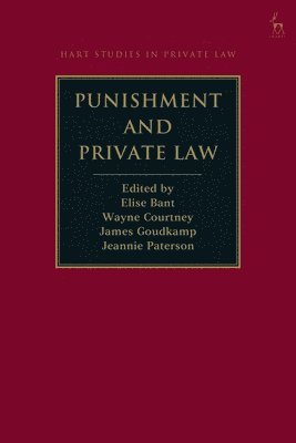 bokomslag Punishment and Private Law