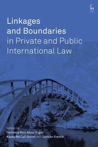 bokomslag Linkages and Boundaries in Private and Public International Law