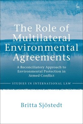 bokomslag Role of Multilateral Environmental Agreements