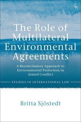 The Role of Multilateral Environmental Agreements 1