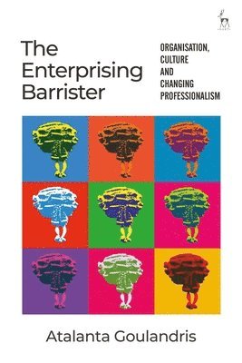 bokomslag Enterprising Barrister