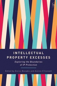 bokomslag Intellectual Property Excesses