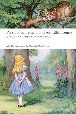 Public Procurement and Aid Effectiveness 1