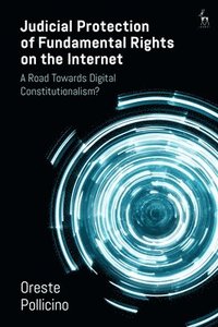 bokomslag Judicial Protection of Fundamental Rights on the Internet