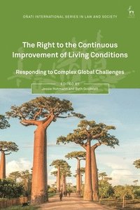 bokomslag The Right to the Continuous Improvement of Living Conditions