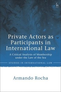 bokomslag Private Actors as Participants in International Law