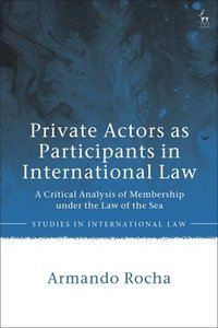 bokomslag Private Actors as Participants in International Law