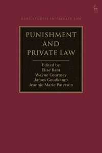 bokomslag Punishment and Private Law