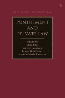 bokomslag Punishment and Private Law