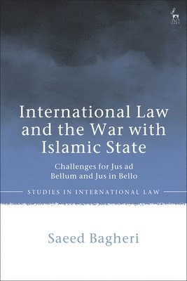 bokomslag International Law and the War with Islamic State