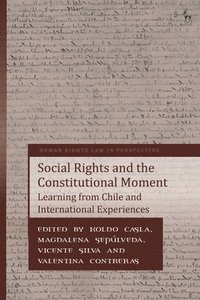 bokomslag Social Rights and the Constitutional Moment