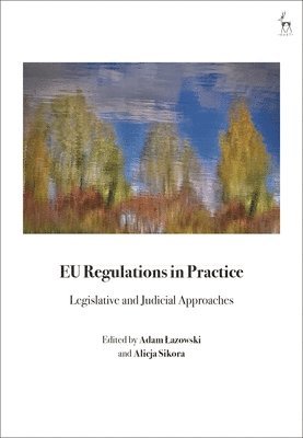 bokomslag EU Regulations in Practice