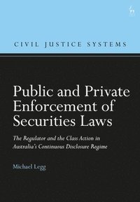 bokomslag Public and Private Enforcement of Securities Laws