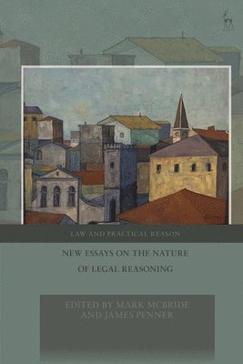 bokomslag New Essays on the Nature of Legal Reasoning