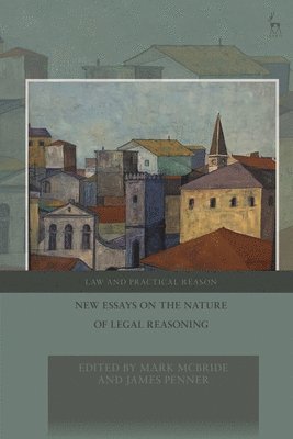 New Essays on the Nature of Legal Reasoning 1