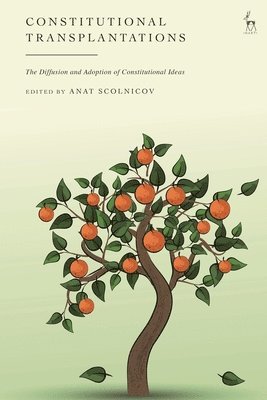 Anat Scolnicov, UK) Scolnicov, Anat (University of Winchester - Constitutional Transplantations, Inbunden