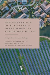 bokomslag Implementation of Sustainable Development in the Global South