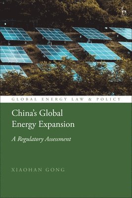 bokomslag China's Global Energy Expansion