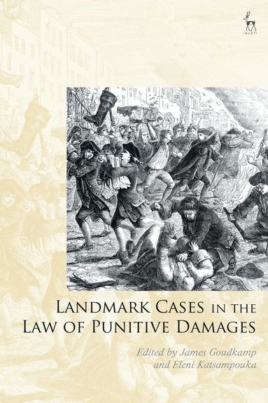 bokomslag Landmark Cases in the Law of Punitive Damages