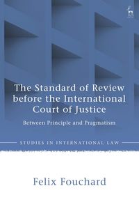 bokomslag Standard of Review before the International Court of Justice