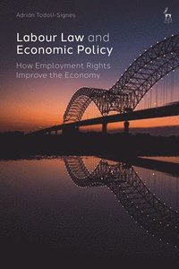 bokomslag Labour Law and Economic Policy
